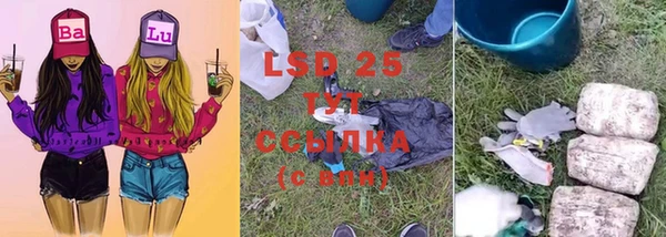 сатива Покачи