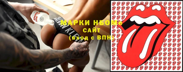 сатива Покачи