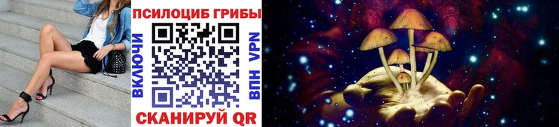 Псилоцибиновые грибы Psilocybe  Новотроицк 